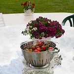 Bed & Breakfast Palac Pacoltowko