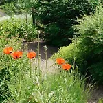 Palac