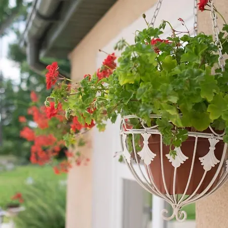 Palac Bed & Breakfast 4*