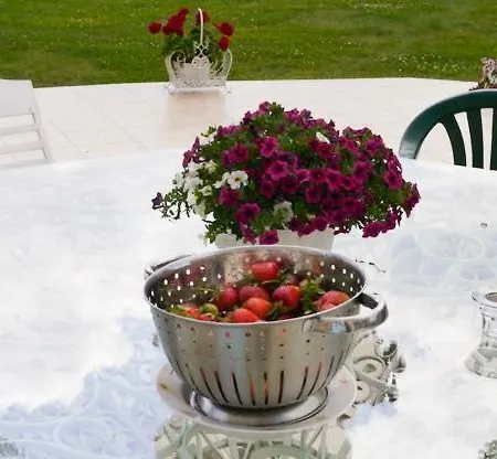 Bed & Breakfast Palac Pacoltowko