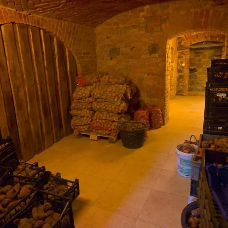 Bed & Breakfast Palac 4*