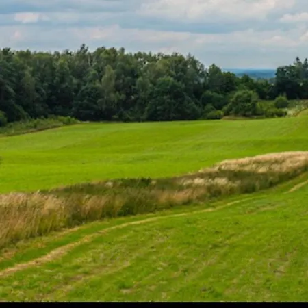 Palac Bed & Breakfast Pacoltowko