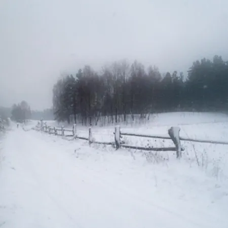 Bed & Breakfast Palac 4*