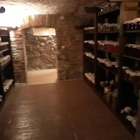 Bed & Breakfast Palac 4*