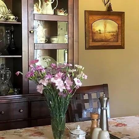 Bed & Breakfast Palac