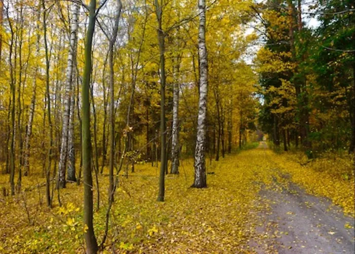 Frühstückspension Palac 4*